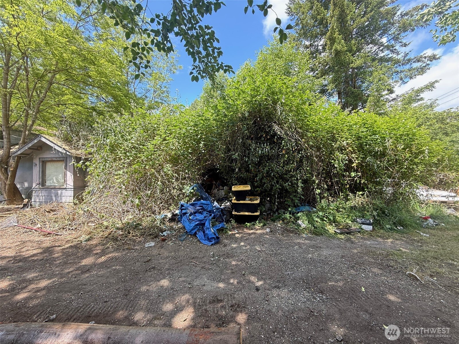 9281 Stadsvold Road Blaine, WA 98230 - Photo 1 of 1 a view of backyard with a table and chair