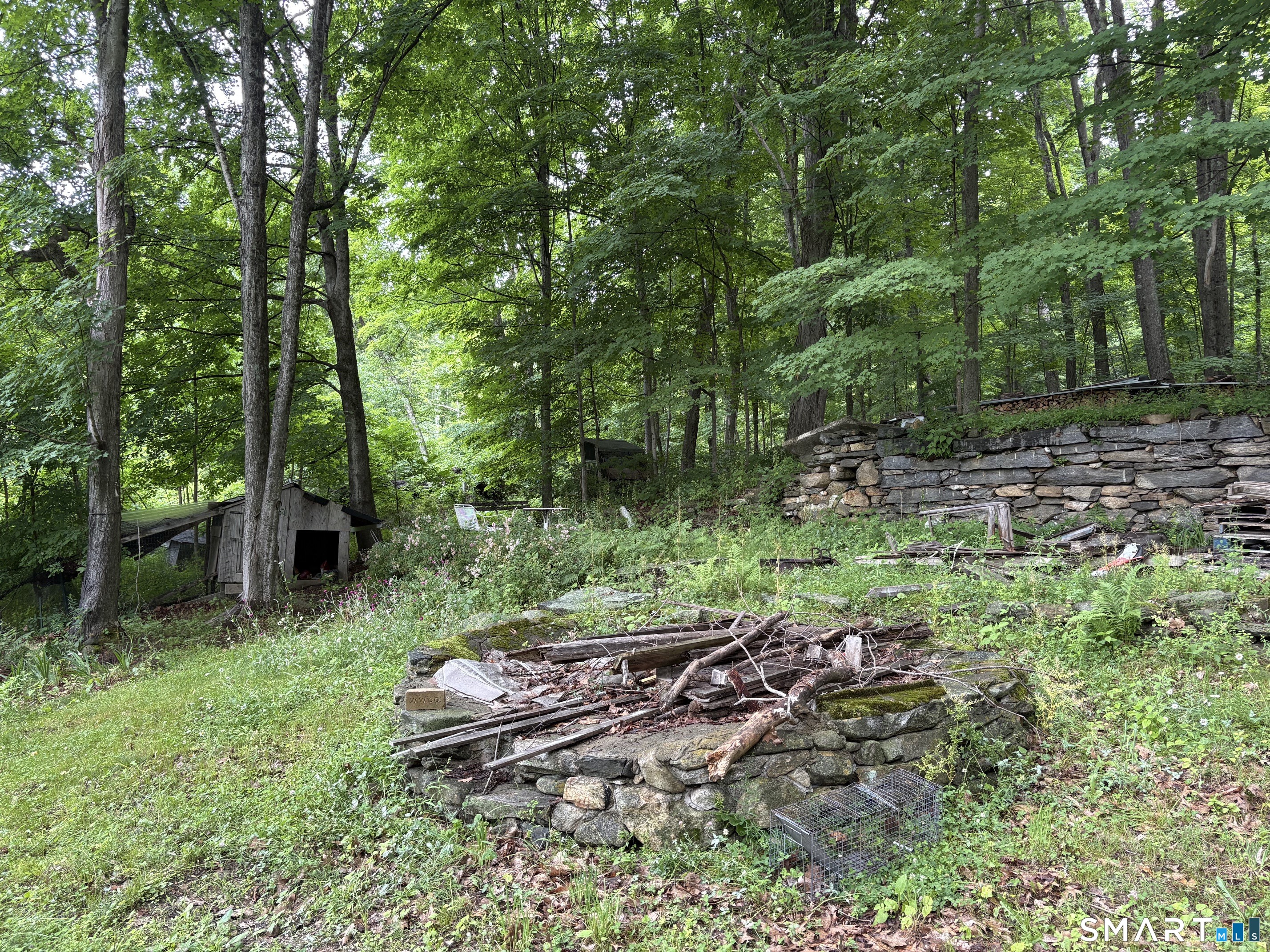 128 Popple Swamp Road Cornwall Bridge, CT 06754 - Photo 5 of 10 Remnants of the barns and buildings that once were part of the farm. Plenty of stone and rocks to use in the new house.