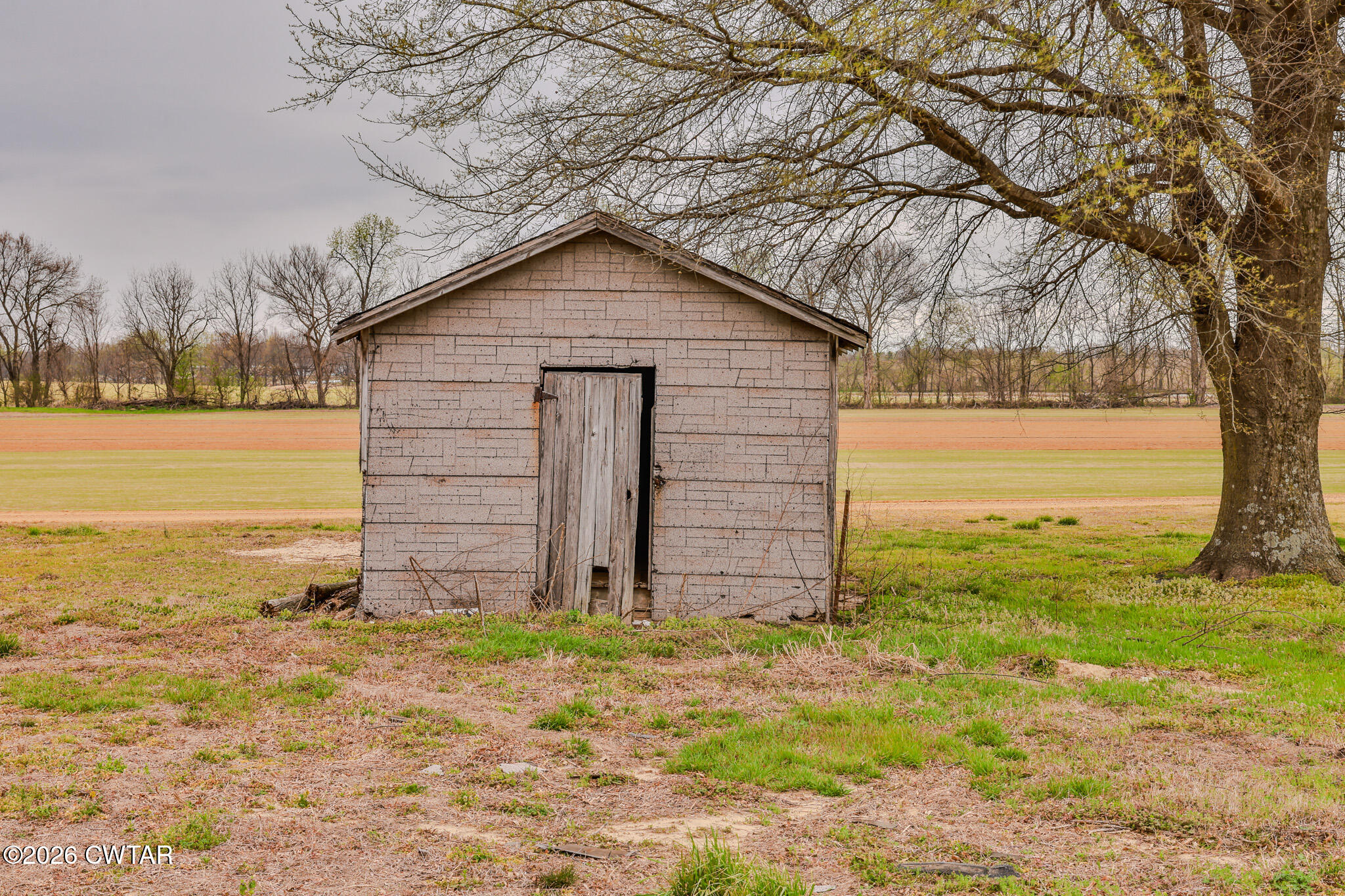 76 New Bethlehem Road Dyer, TN 38330 - Photo 16 of 39 a view of a small house with a yard and large tree