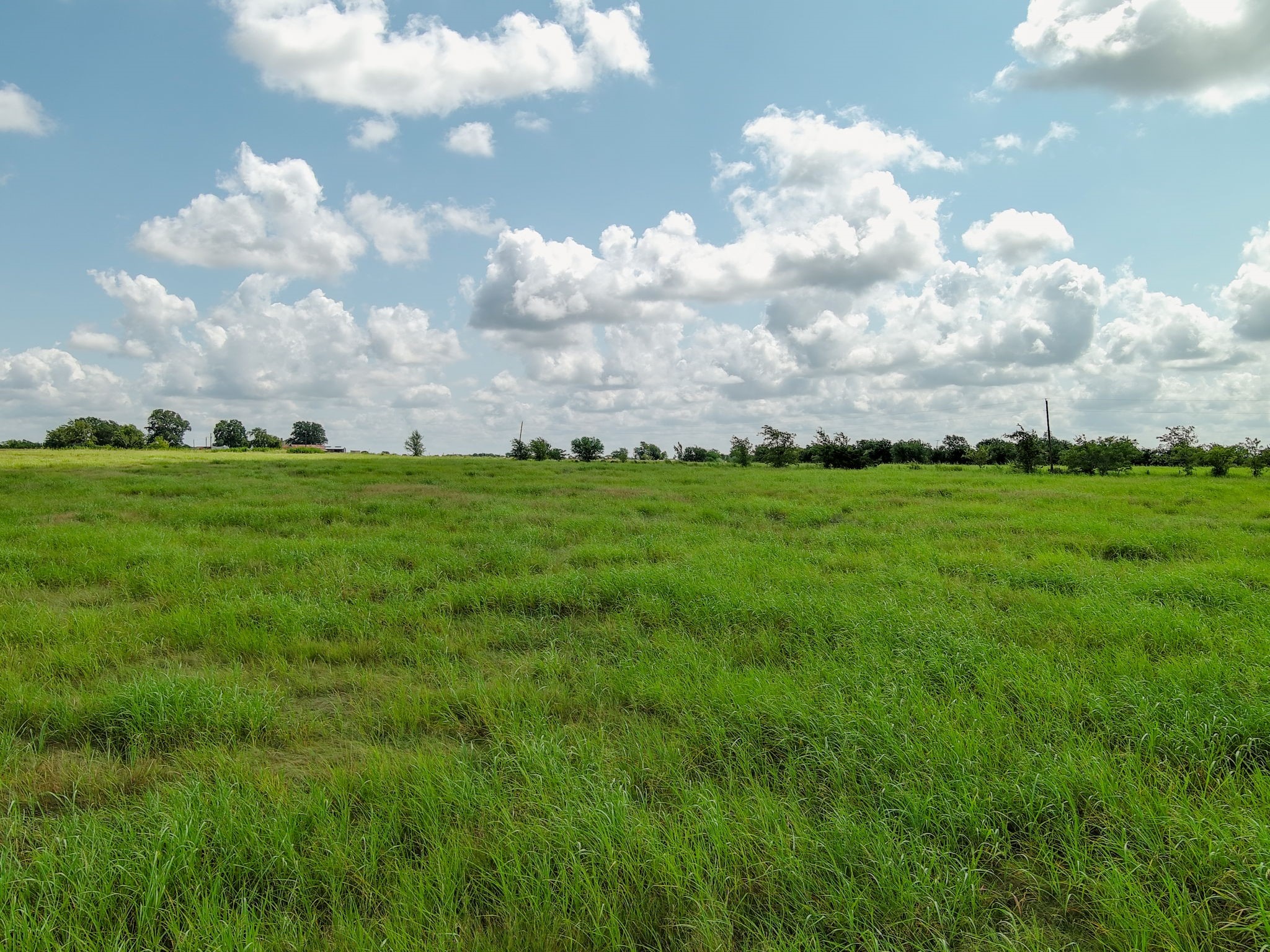 Tbd Century Farms Road Burton, TX 77835 - Photo 13 of 27 Gallery Image 13