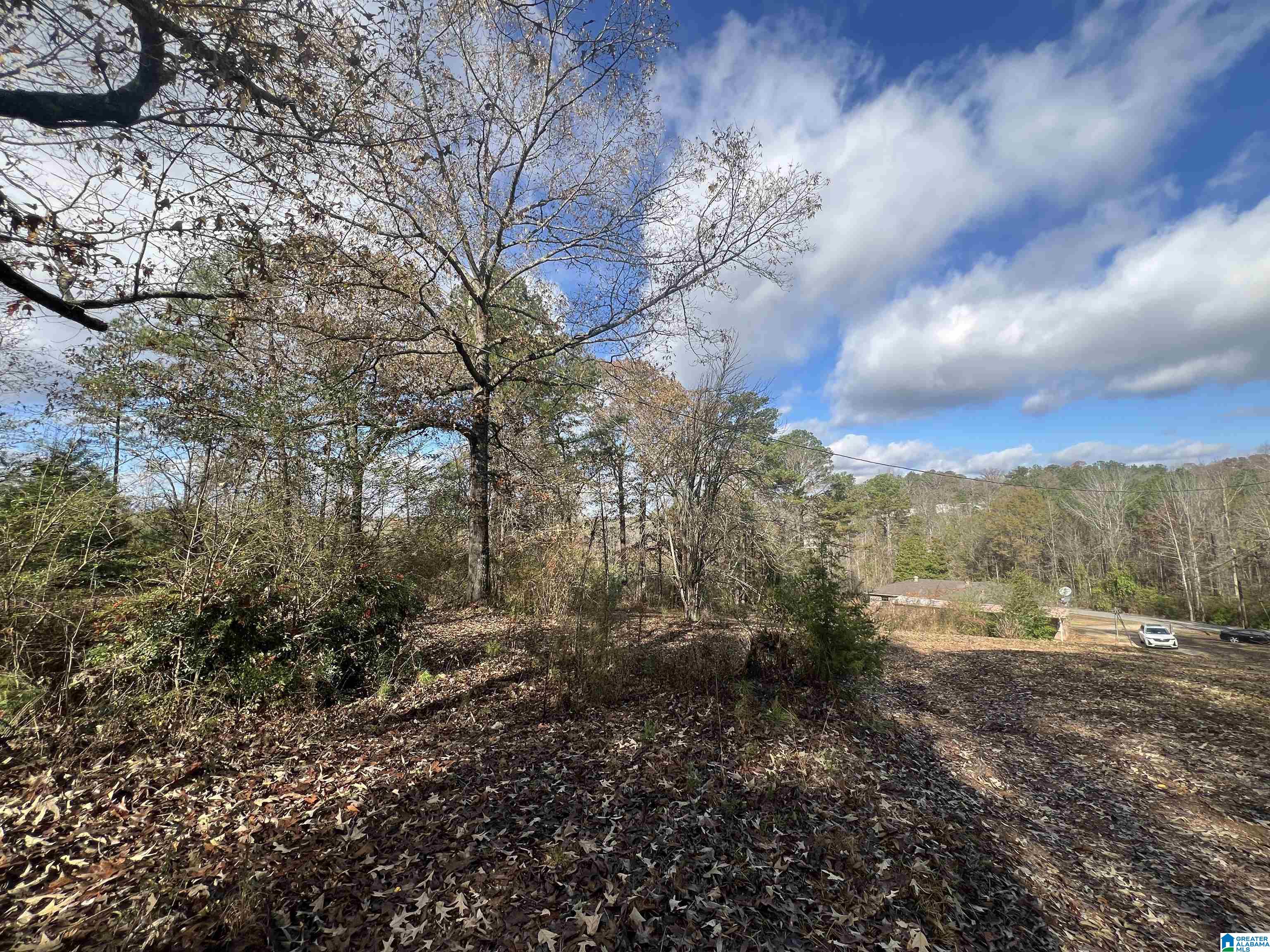 407 Jeter Road Talladega, AL 35160 - Photo 7 of 30 Gallery Image 7