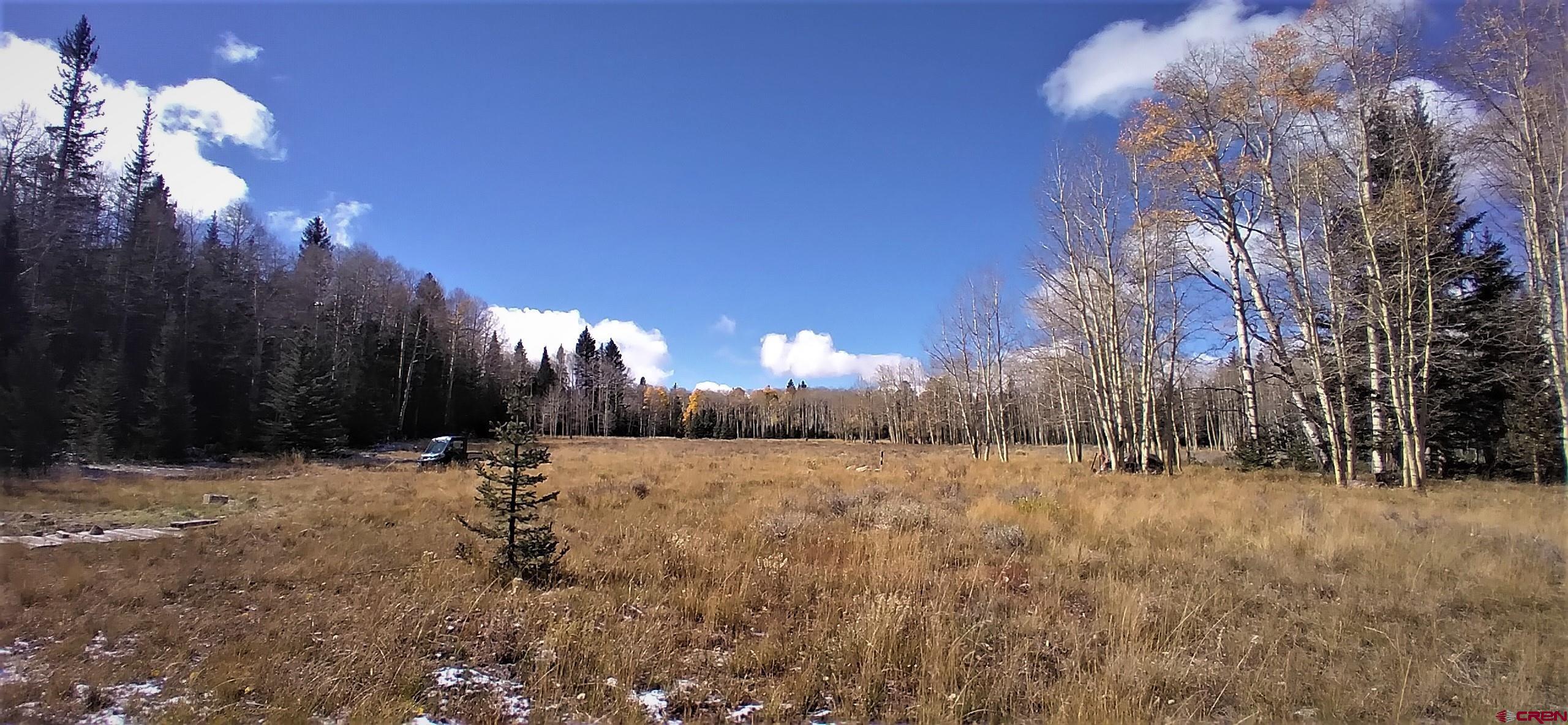 2170 Spruce Road Cimarron, CO 81220 - Photo 5 of 12 Gallery Image 5