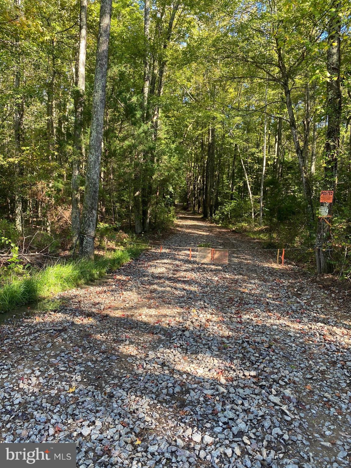 Mt Olive Road Beaverdam, VA 23015 - Photo 2 of 10 Gallery Image 2