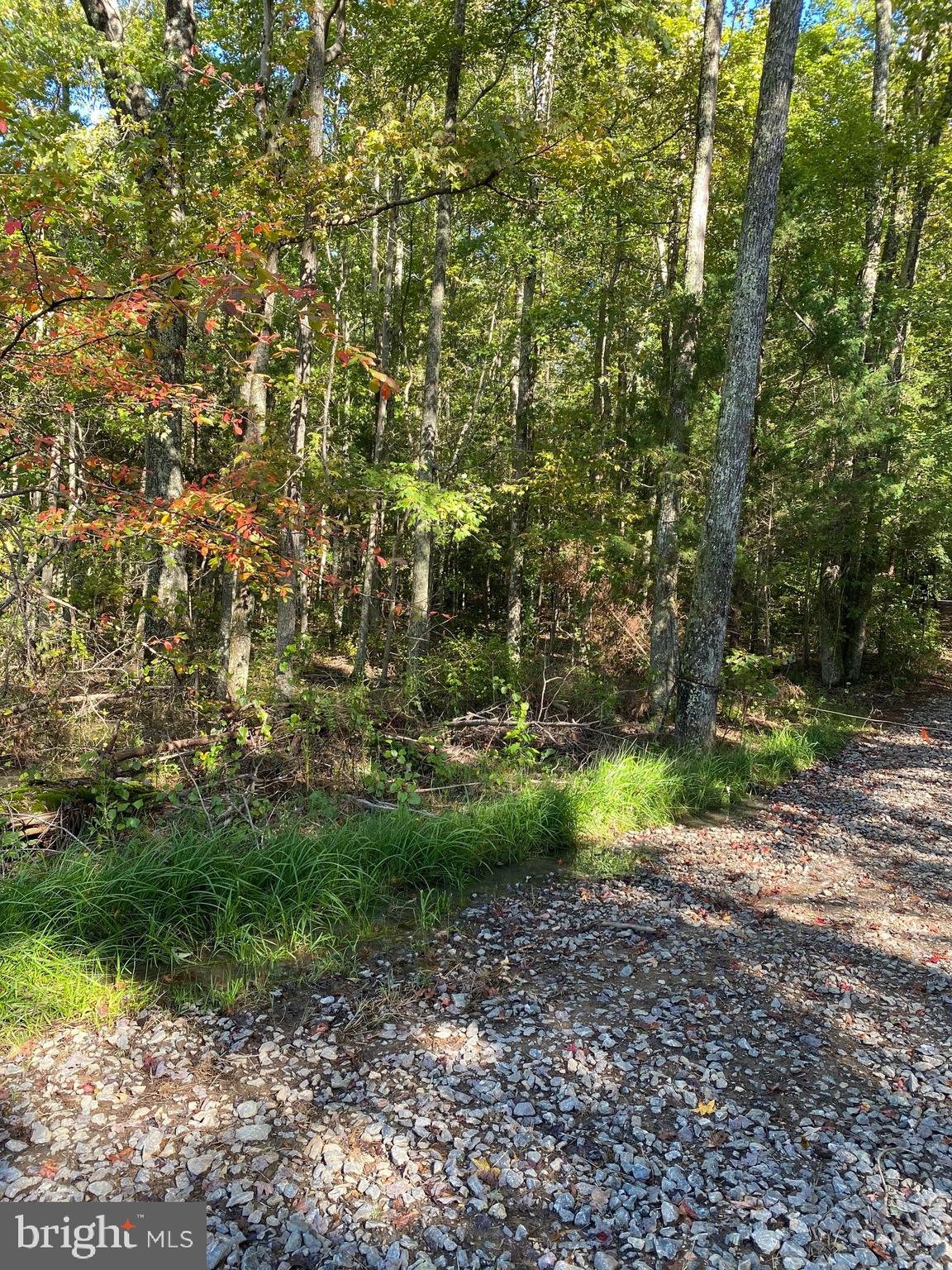 Mt Olive Road Beaverdam, VA 23015 - Photo 3 of 10 Gallery Image 3