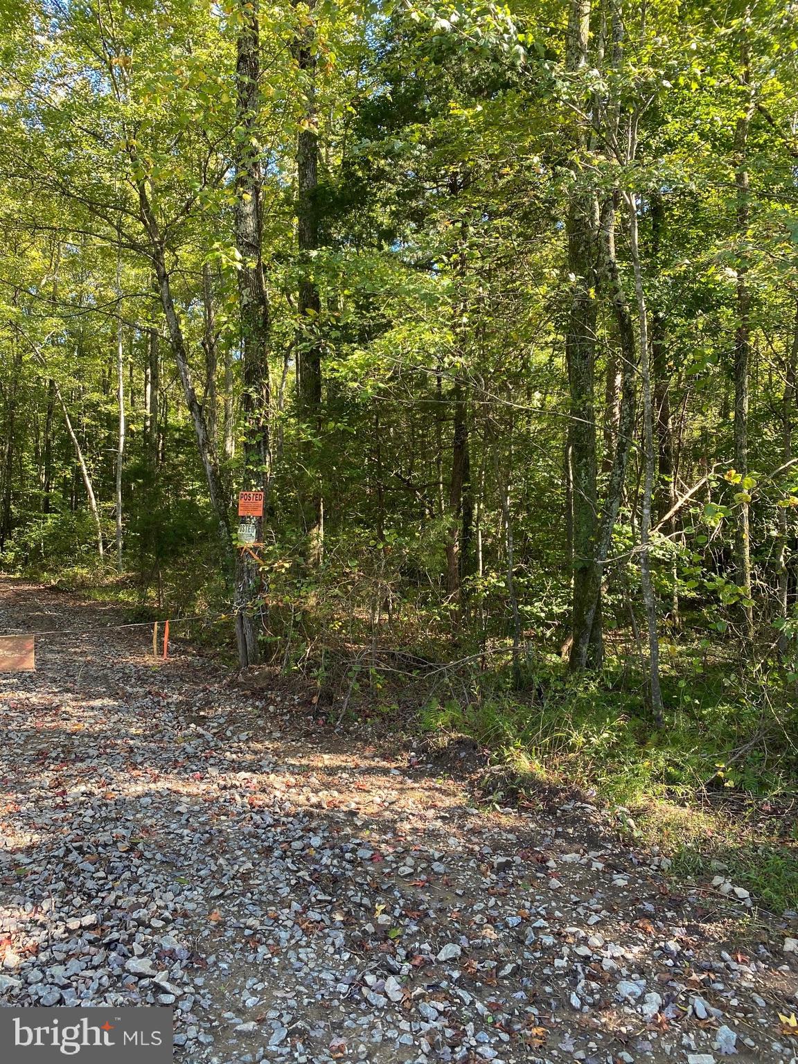 Mt Olive Road Beaverdam, VA 23015 - Photo 4 of 10 Gallery Image 4