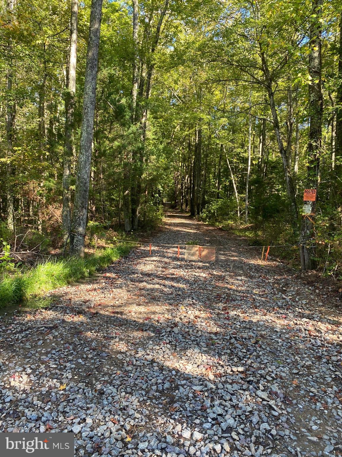 Mt Olive Road Beaverdam, VA 23015 - Photo 6 of 10 Gallery Image 6