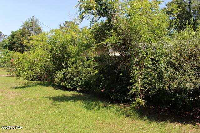 2100 3rd Avenue Sneads, FL 32460 - Photo 19 of 55