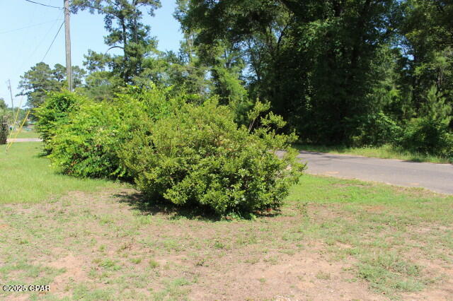 2100 3rd Avenue Sneads, FL 32460 - Photo 24 of 55