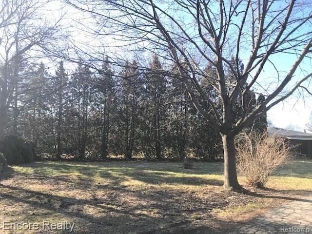 25597 Middlebelt Road Farmington Hills, MI 48336 - Photo 4 of 33