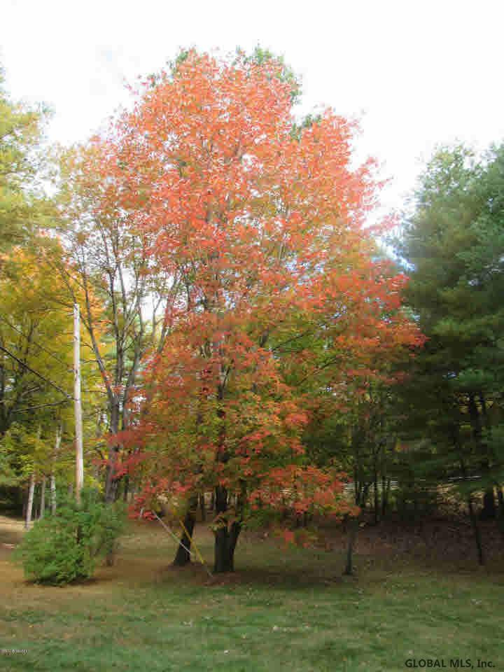 271 Big Bay Road Queensbury, NY 12804 - Photo 4 of 60 Photo 4