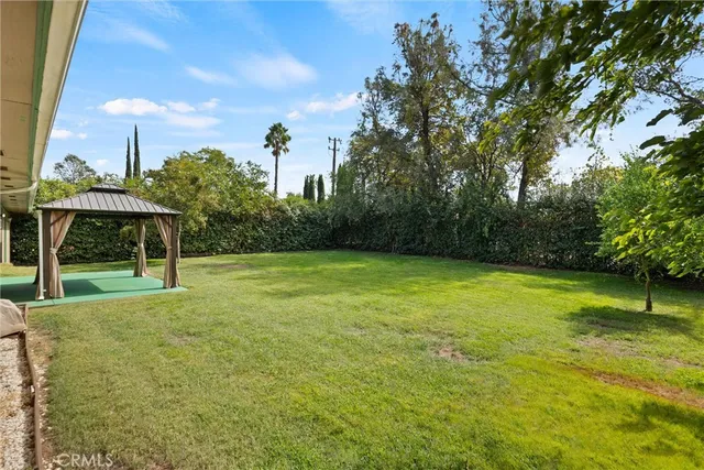 a view of a backyard