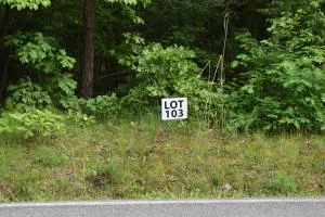 $35,100 | Lot 103 Halfmoon Shores Drive, Ten Mile, TN 37880