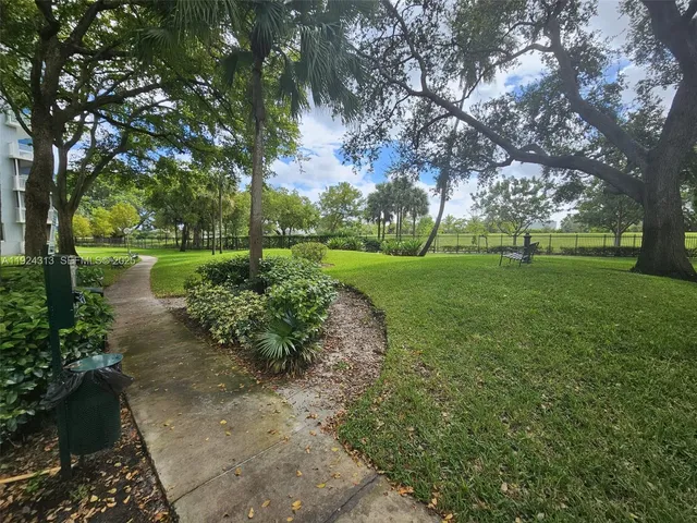 a view of a park with large trees