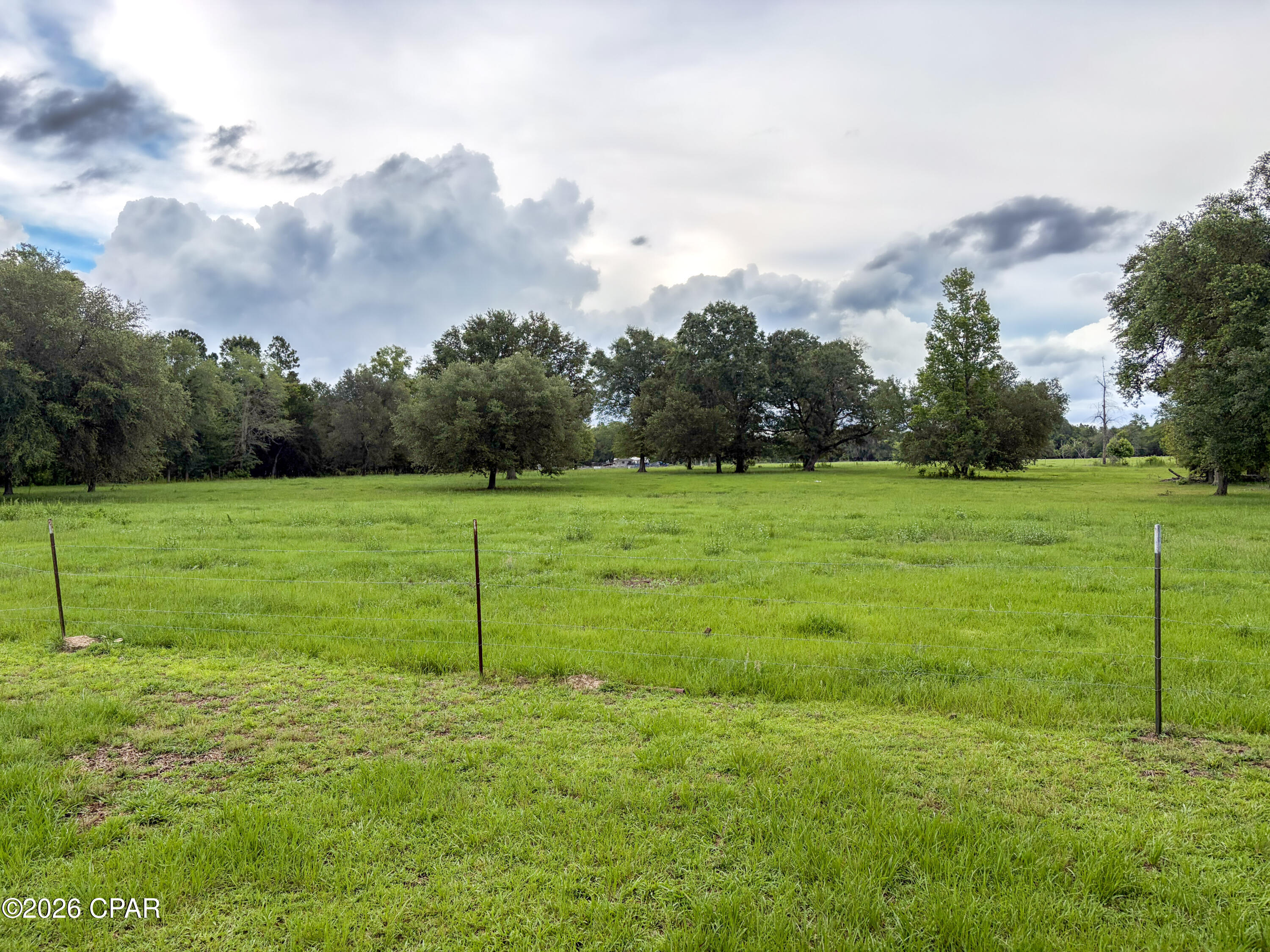 3172 Sandridge Church Road Sneads, FL 32460 - Photo 17 of 43
