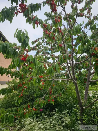 $799,000 | 1052 East 129 North, Idaho Falls, ID 83401