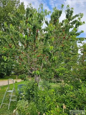 $799,000 | 1052 East 129 North, Idaho Falls, ID 83401