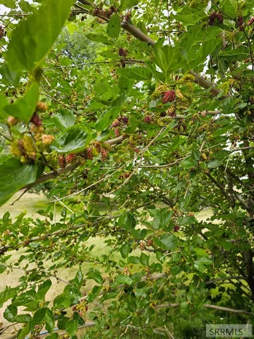 $879,900 | 1052 East 129 North, Idaho Falls, ID 83401