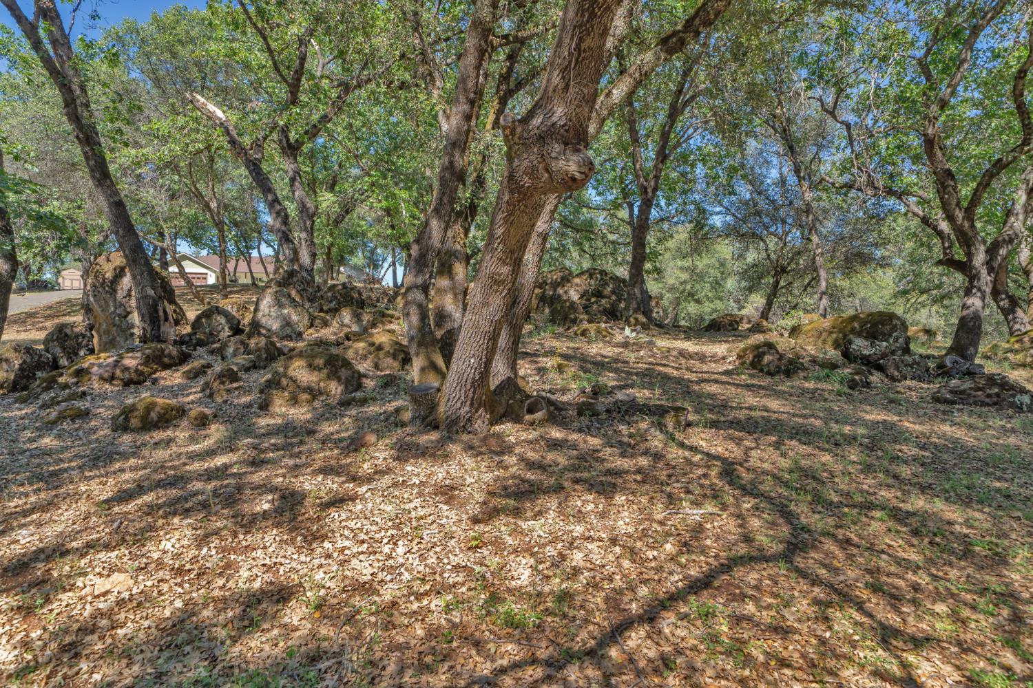 2469 Secret Ravine Trail Cool, CA 95614 - Photo 67 of 80