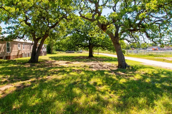 a view of a yard with a tree