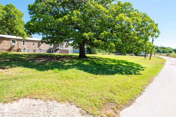a view of a backyard with large trees