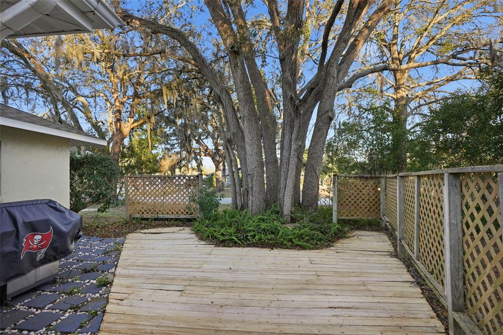 9206 Belvedere Street Spring Hill, FL 34608 - Photo 25 of 29