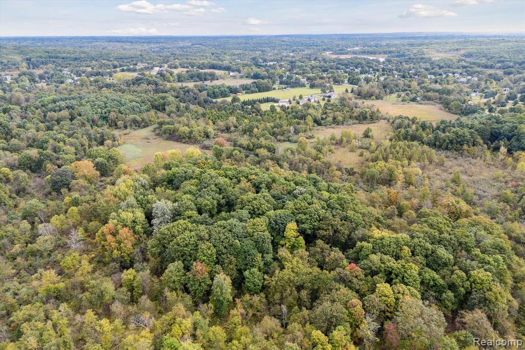 0 Swarthout Road Pinckney, MI 48169 - Photo 6 of 16