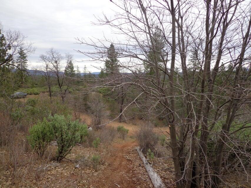 Backbone Road Bella Vista, CA 96008 - Photo 6 of 15 Privacy and wildlife