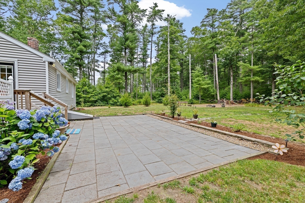 74 Rochester Road Carver, MA 02330 - Photo 23 of 31 a view of a backyard with potted plants and large trees