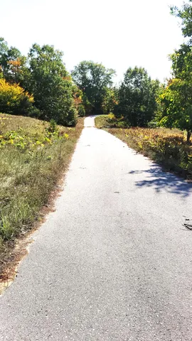 $69,000 | Eagel Ridge Circle, Onekama, MI 49675