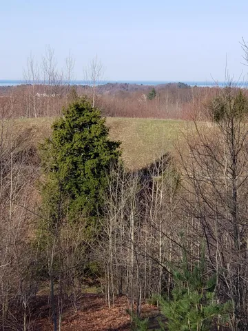 $69,000 | Eagel Ridge Circle, Onekama, MI 49675