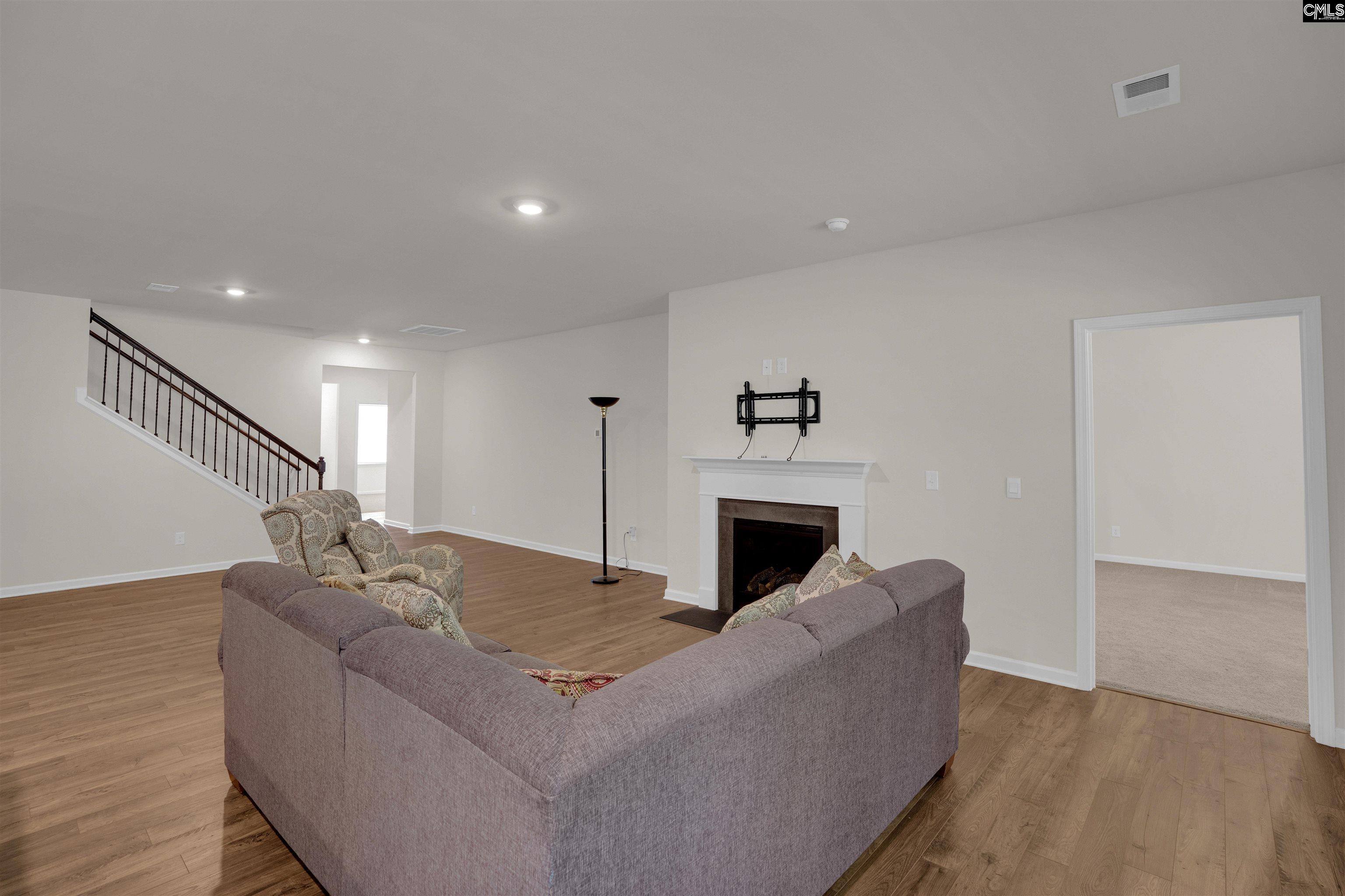 329 Sycamore Crest Way Chapin, SC 29036 - Photo 9 of 43