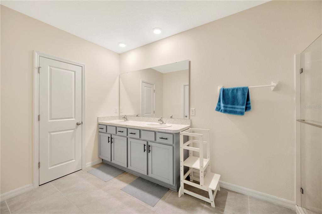 5674 Banbury Ridge Run Wesley Chapel, FL 33545 - Photo 24 of 40 a bathroom with a sink and a mirror