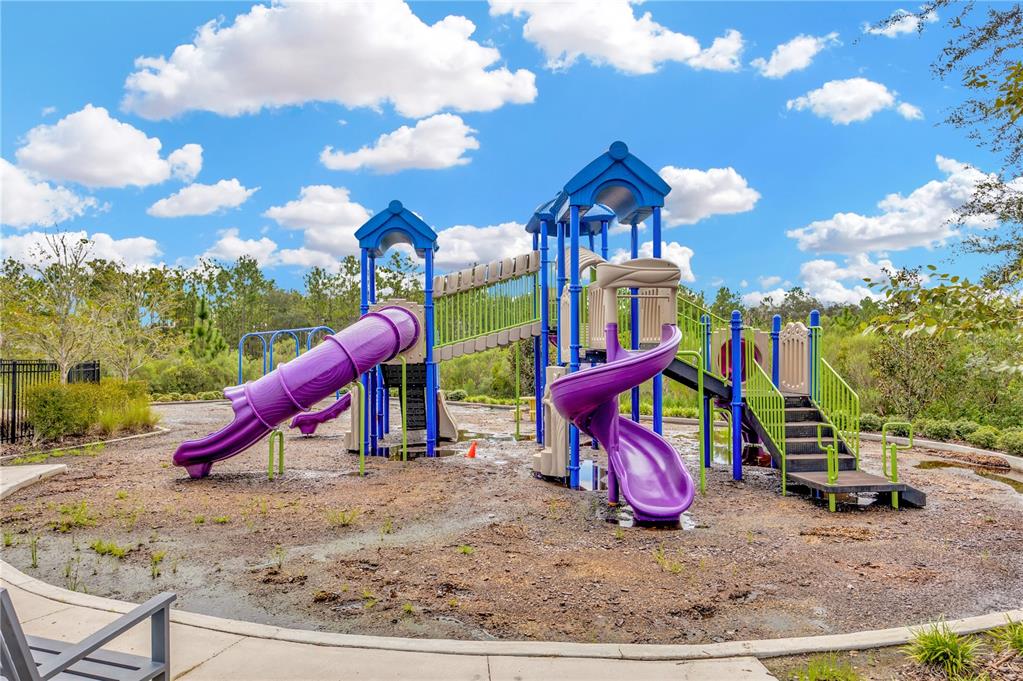 5674 Banbury Ridge Run Wesley Chapel, FL 33545 - Photo 34 of 40 a view of a park with slide