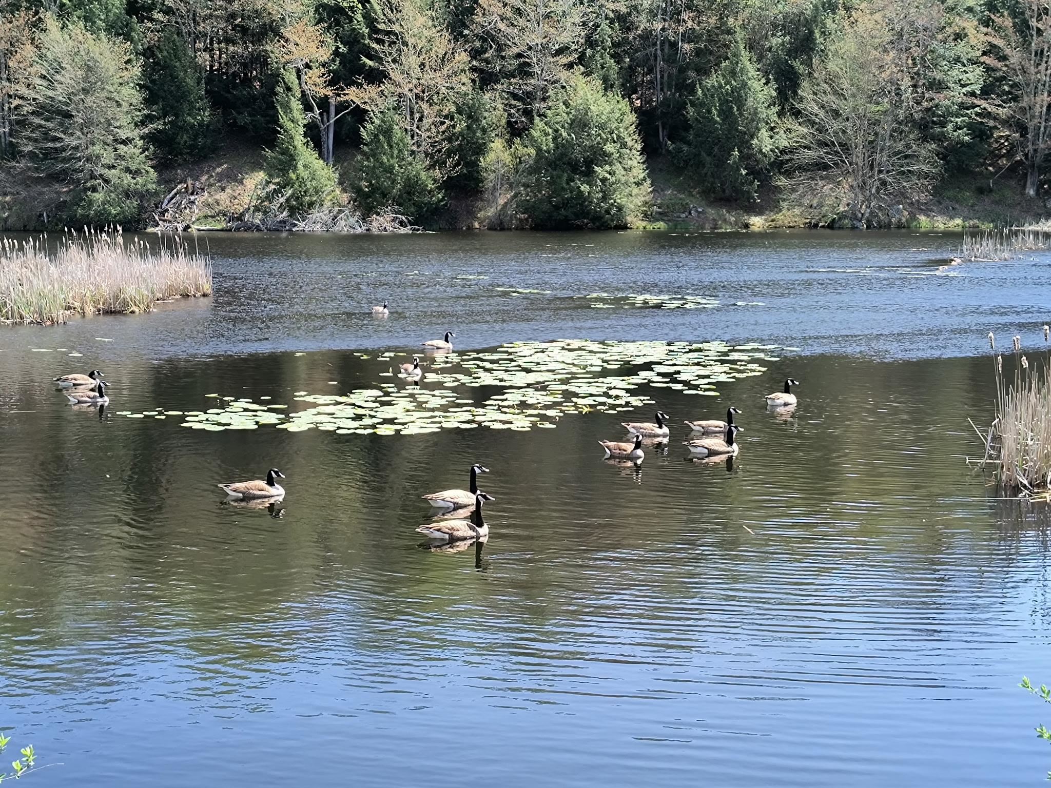 686 Highway 15 Underhill, VT 05489 - Photo 3 of 24