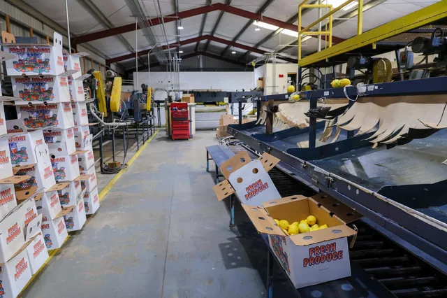 a view of a chairs and tables in patio