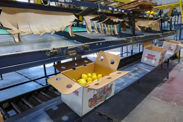 a utility room with multiple dryer and washer