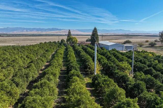 a view of a yard and an outdoor space
