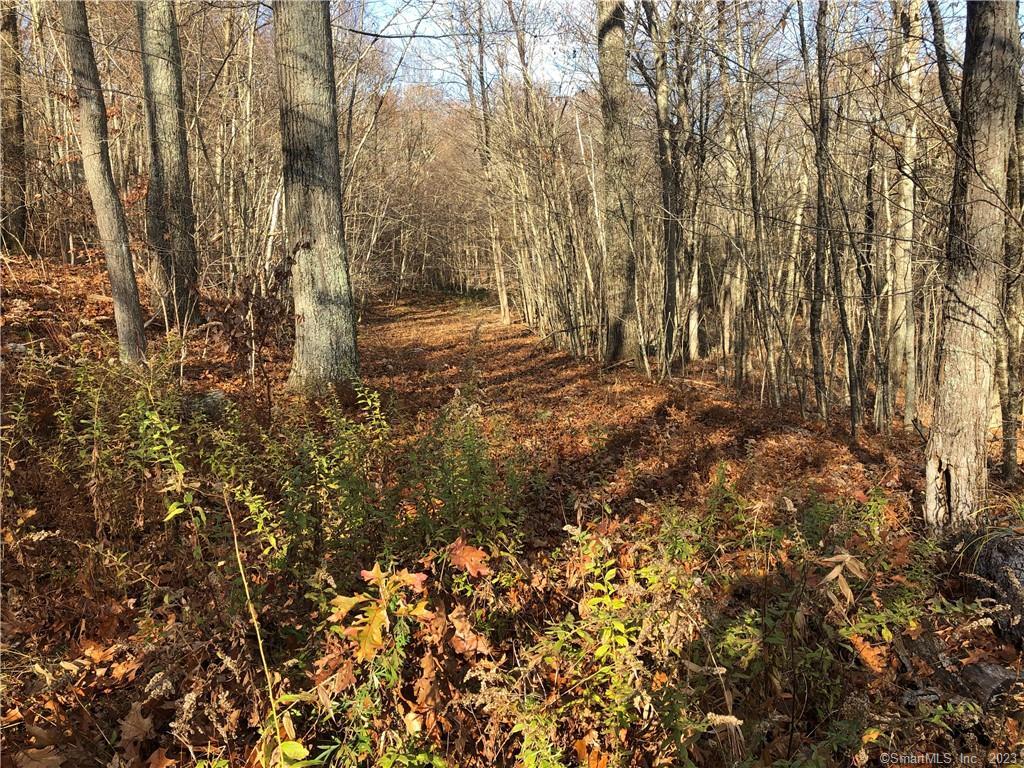 0 Bunker Hill Road Andover, CT 06232 - Photo 1 of 1 a view of yard