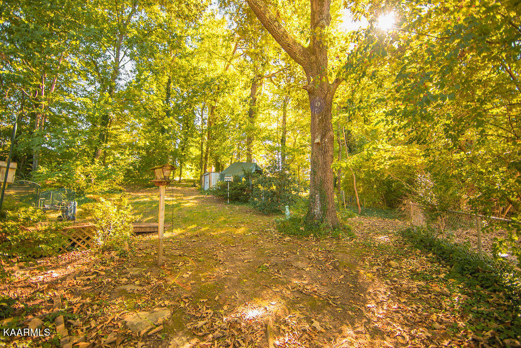 104 Morris Lane Oak Ridge, TN 37830 - Photo 3 of 21 2S2A7887-1