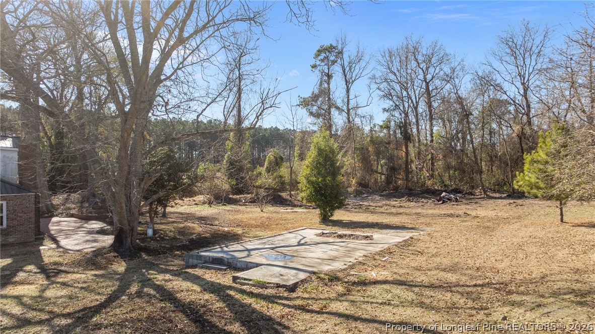 1737 West Carthage Road Lumberton, NC 28360 - Photo 5 of 39 a view of a yard with trees