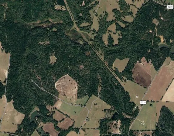 an aerial view of a house with a yard and large trees