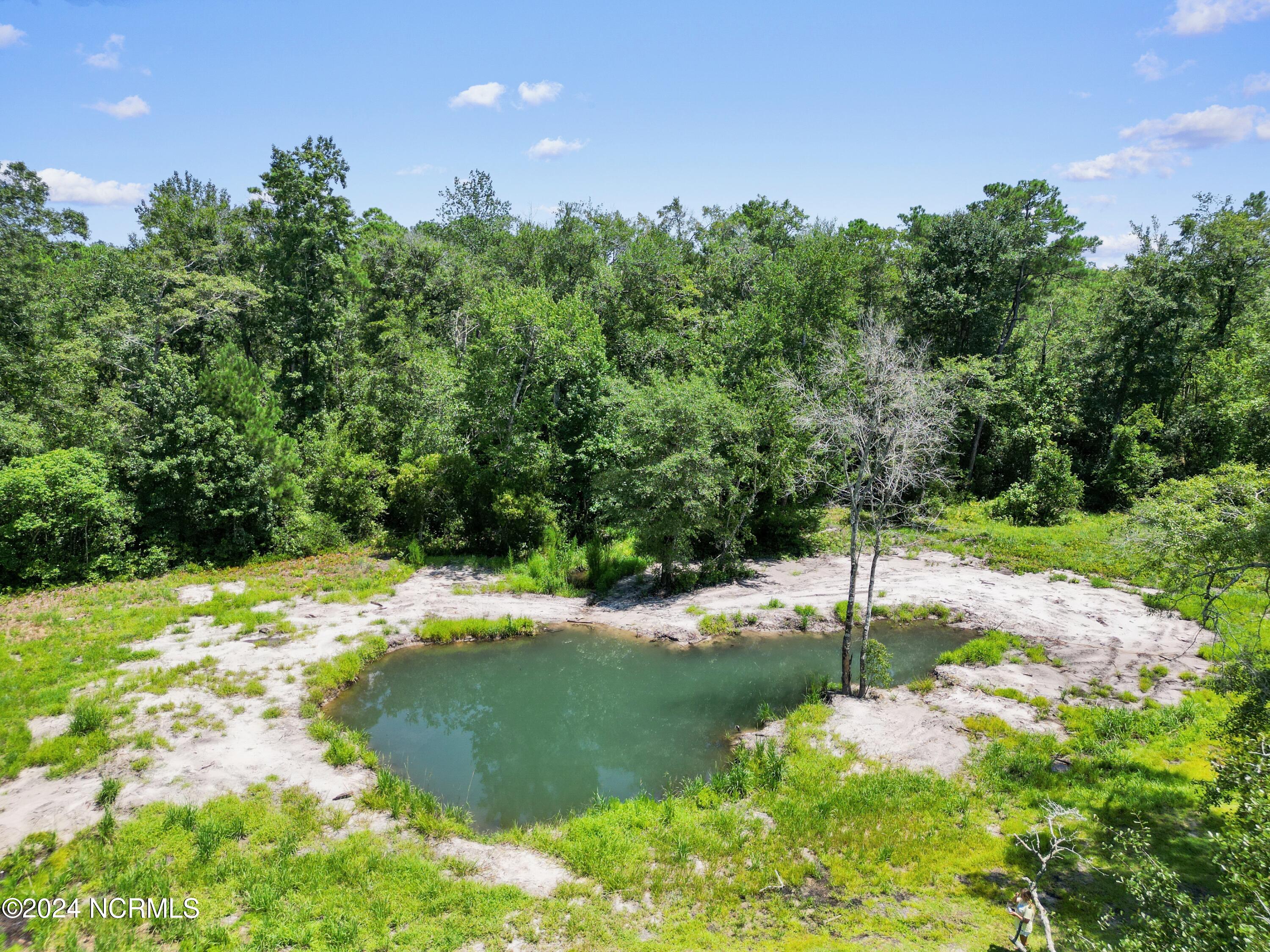 1736 Maco Road Northeast Leland, NC 28451 - Photo 50 of 52 10 Feet Deep Pond