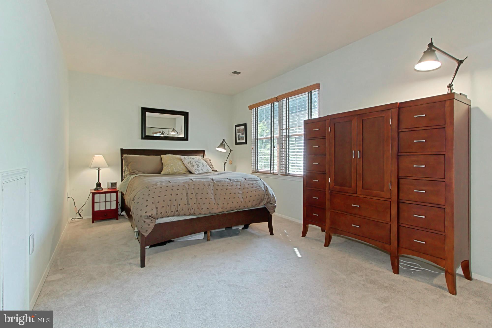 2317 Rosedown Drive Reston, VA 20191 - Photo 22 of 29 4th Bedroom with Great View