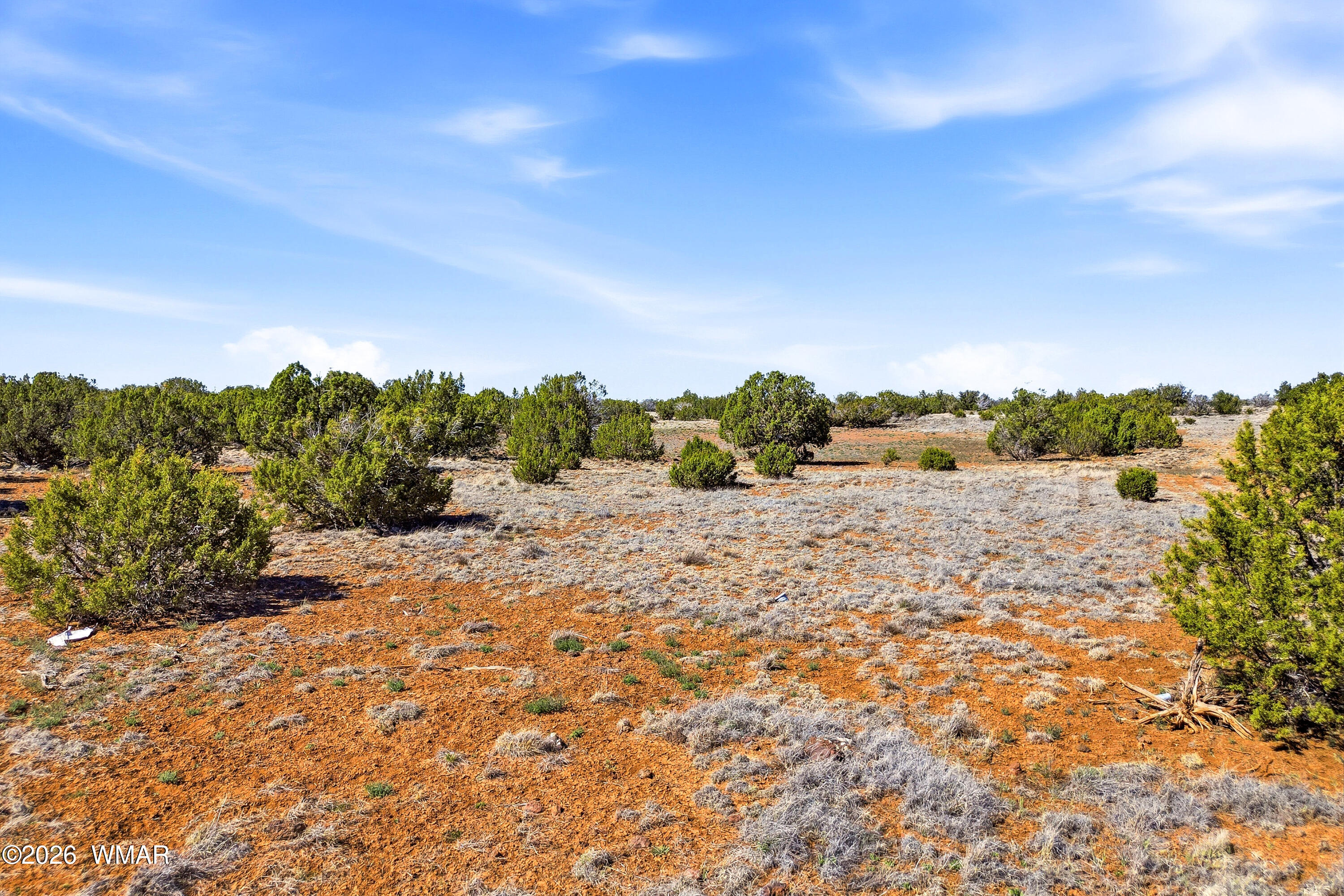 8085 County Road Concho, AZ 85924 - Photo 7 of 16