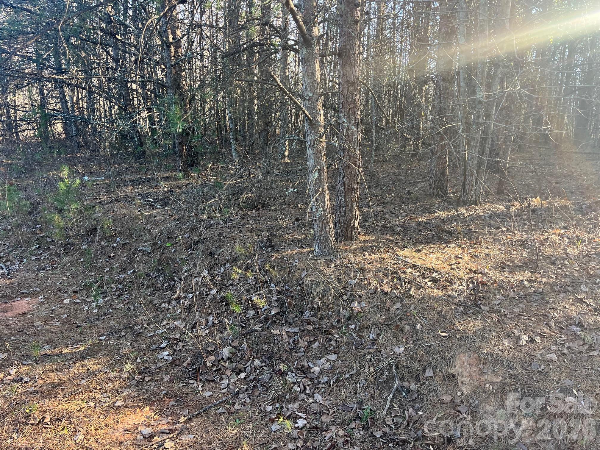 Tbd Southern Way Nebo, NC 28761 - Photo 6 of 22