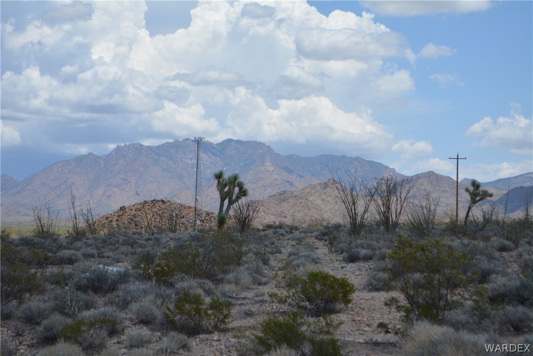 208-24-134 Cameron Road Yucca, AZ 86438 - Photo 26 of 86