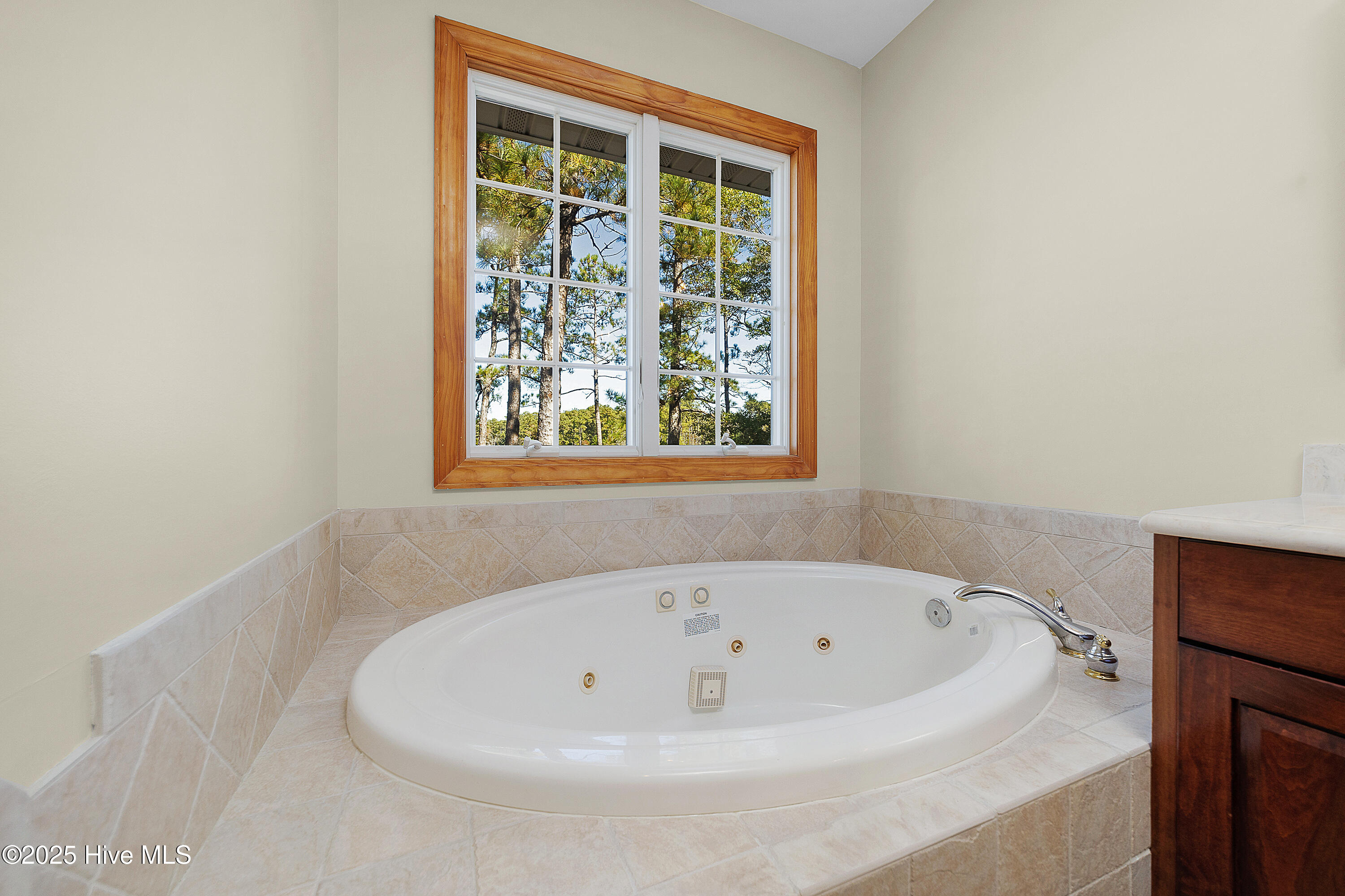 466 Bay Shores Road Merritt, NC 28556 - Photo 17 of 44 Owners Bathroom