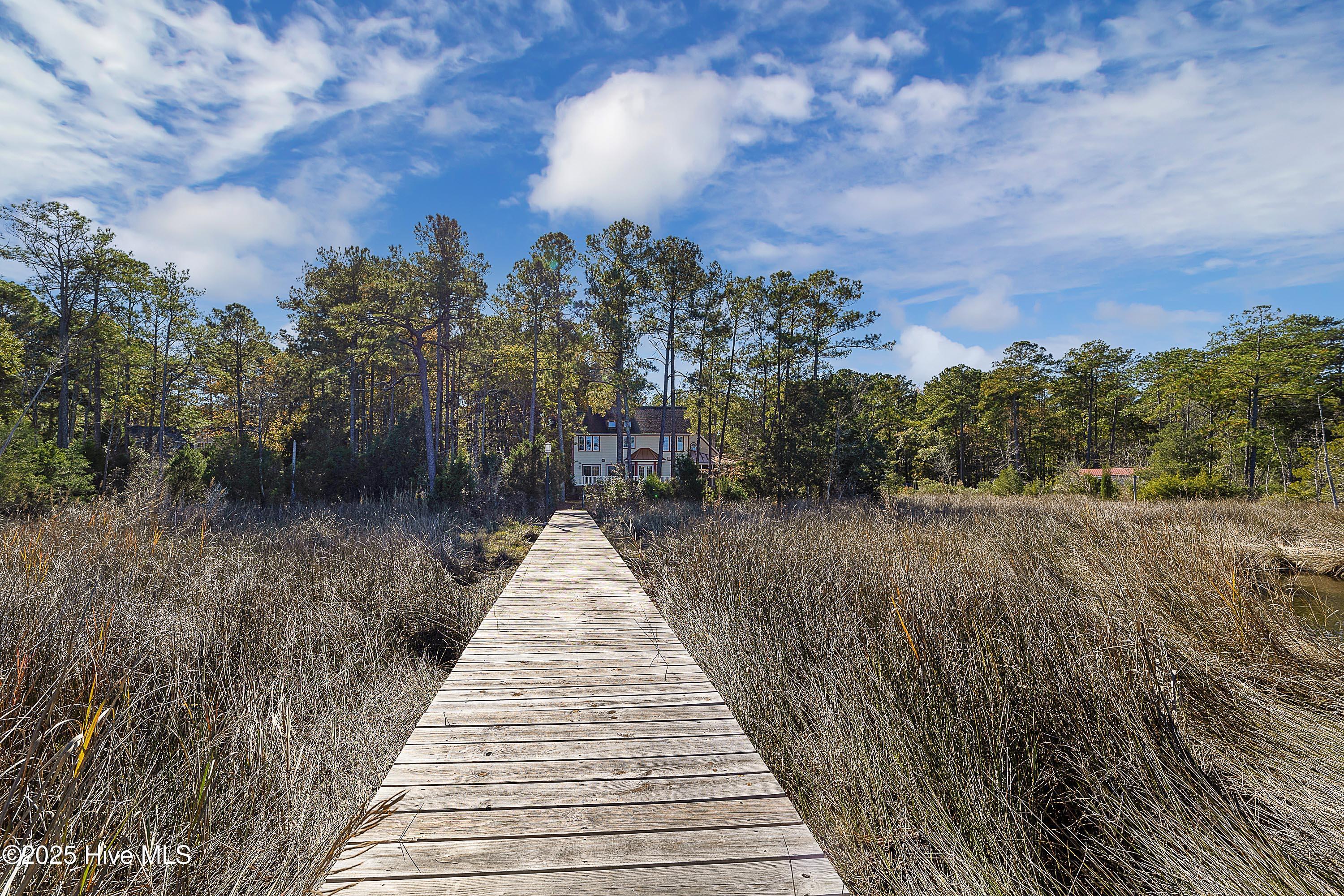 466 Bay Shores Road Merritt, NC 28556 - Photo 32 of 44 Back