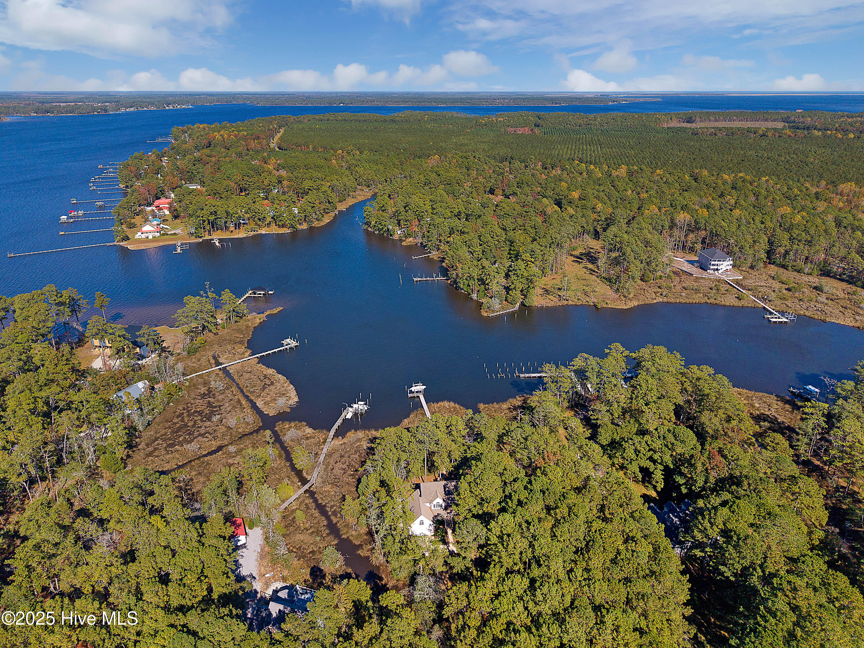 466 Bay Shores Road Merritt, NC 28556 - Photo 39 of 44 Aerial View / Waterview