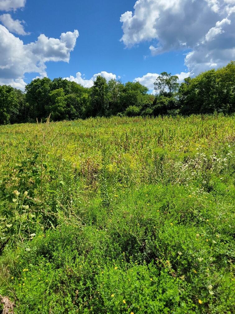 Lt0 Maple Avenue Sussex, WI 53089 - Photo 1 of 9 Sussex Land Parcel